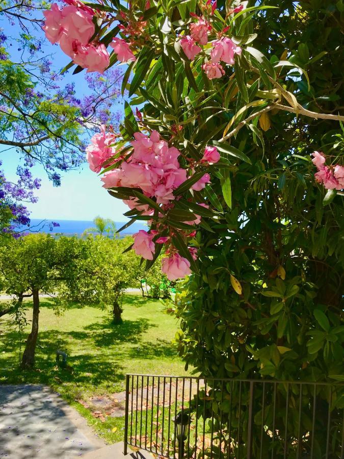 Tenuta Jacaranda Piedimonte Etneo Exteriér fotografie